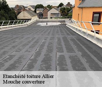 Etanchéité toiture 03 Allier Mouche couverture