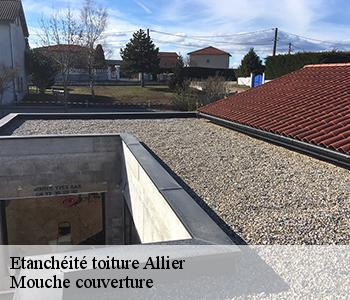 Etanchéité toiture Allier