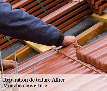 Réparation de toiture Allier