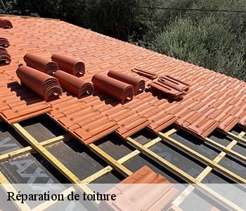 Réparation de toiture Allier