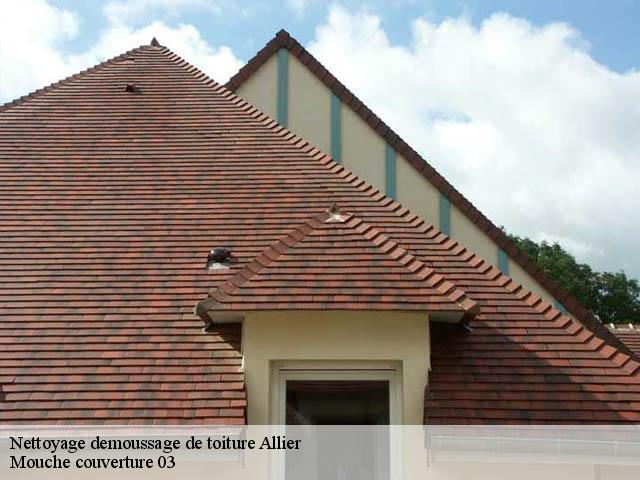 Nettoyage demoussage de toiture Allier 