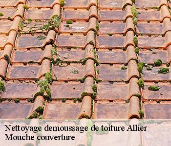 Nettoyage demoussage de toiture Allier
