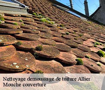 Nettoyage demoussage de toiture