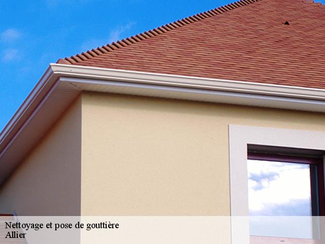 Nettoyage et pose de gouttière Allier