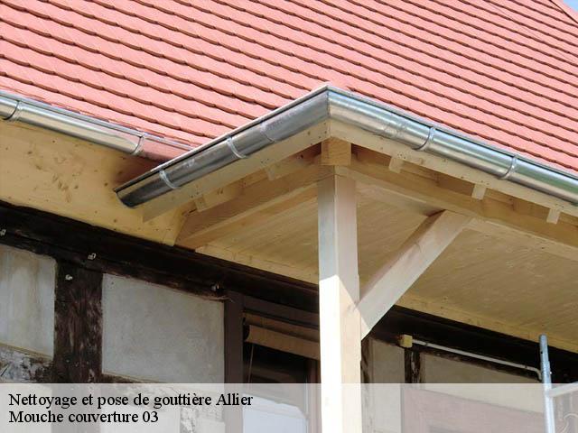 Nettoyage et pose de gouttière Allier