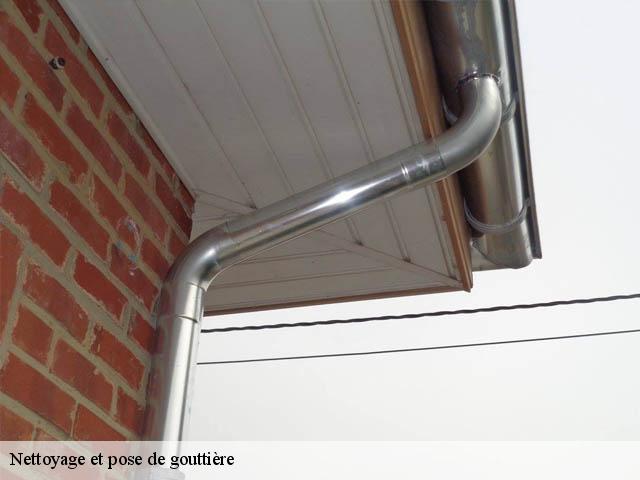 Nettoyage et pose de gouttière Allier