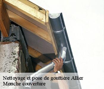 Nettoyage et pose de gouttière 03 Allier Mouche couverture