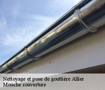 Nettoyage et pose de gouttière Allier