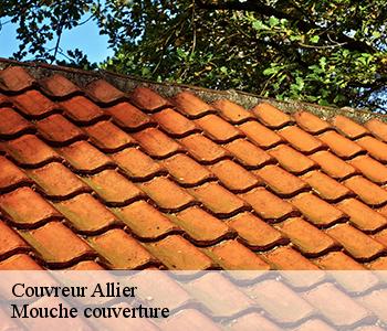 Couvreur 03 Allier Mouche couverture
