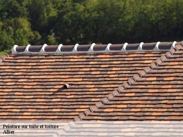 Peinture sur tuile et toiture Allier