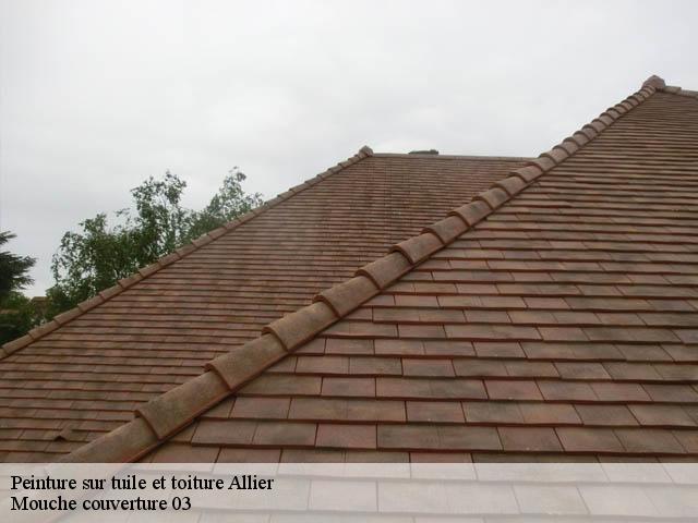 Peinture sur tuile et toiture Allier