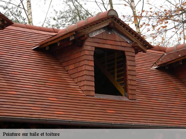 Peinture sur tuile et toiture Allier
