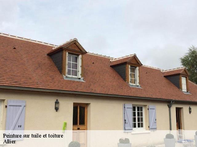 Peinture sur tuile et toiture Allier