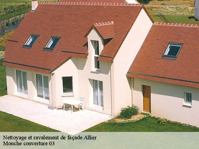 Nettoyage et ravalement de façade 03 Allier Mouche couverture 03