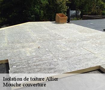 Isolation de toiture 03 Allier Mouche couverture