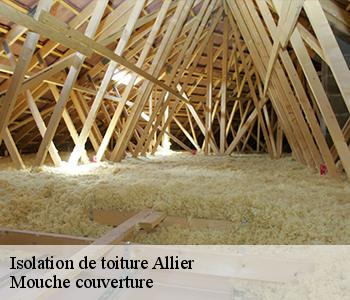 Isolation de toiture Allier