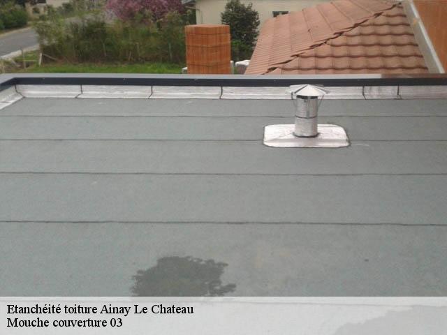 Etanchéité toiture  ainay-le-chateau-03360 Mouche couverture 03