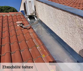 Etanchéité toiture 03390