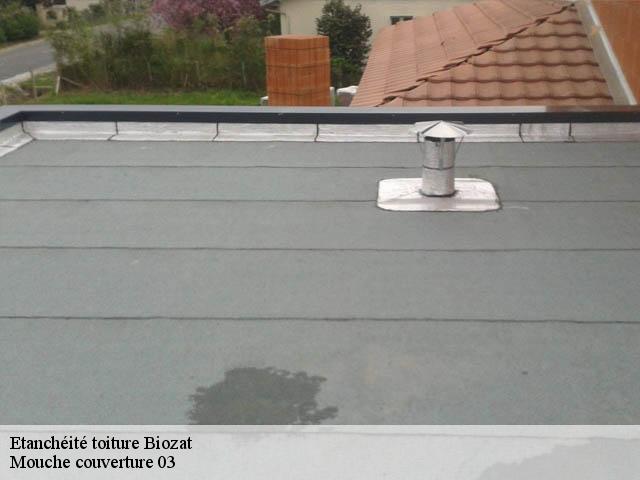 Etanchéité toiture  biozat-03800 Mouche couverture 03