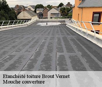 Etanchéité toiture brout-vernet-03110 Mouche couverture