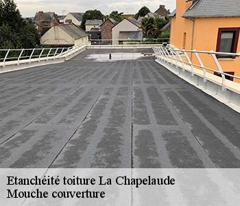 Etanchéité toiture la-chapelaude-03380 Mouche couverture