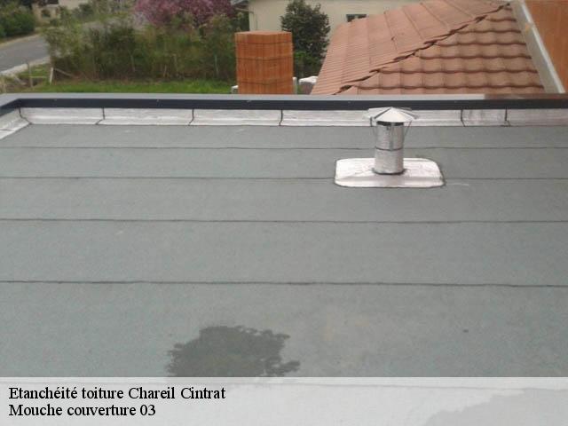 Etanchéité toiture  chareil-cintrat-03140 Mouche couverture 03