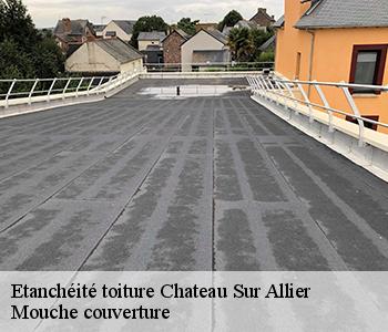 Etanchéité toiture chateau-sur-allier-03320 Mouche couverture