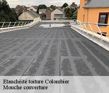 Etanchéité toiture colombier-03600 Mouche couverture