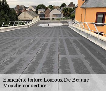 Etanchéité toiture louroux-de-beaune-03600 Mouche couverture