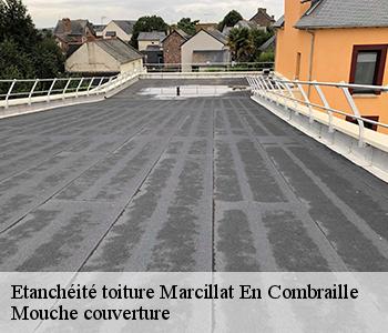 Etanchéité toiture marcillat-en-combraille-03420 Mouche couverture