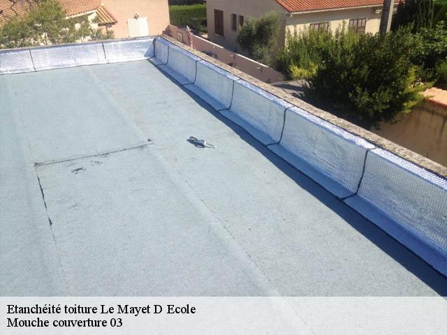 Etanchéité toiture 03800
