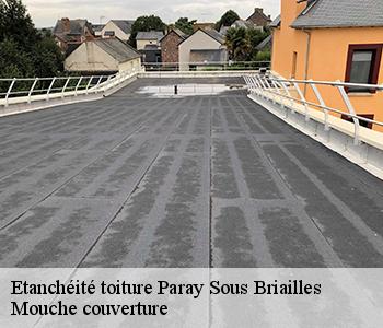 Etanchéité toiture paray-sous-briailles-03500 Mouche couverture