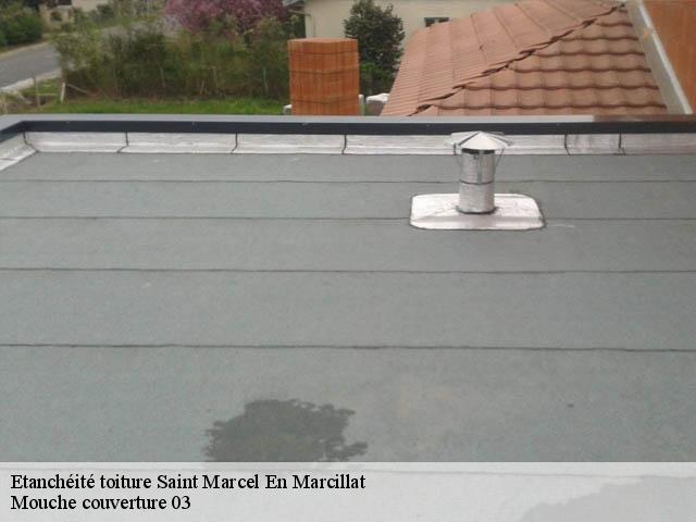 Etanchéité toiture  saint-marcel-en-marcillat-03420 Mouche couverture 03