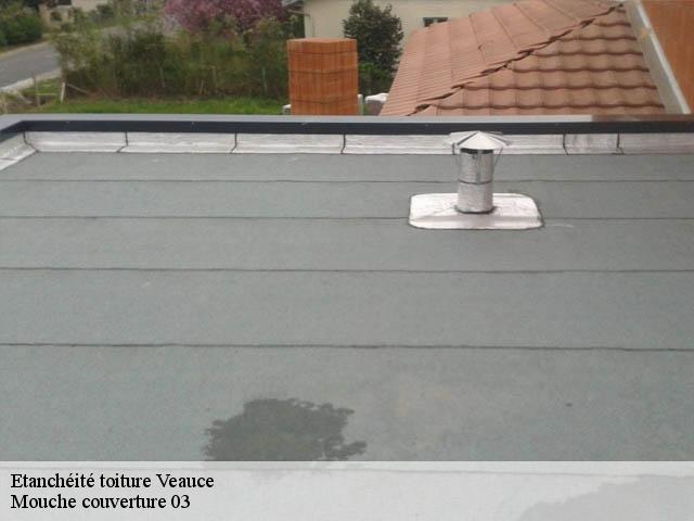 Etanchéité toiture veauce-03450 Mouche couverture 03