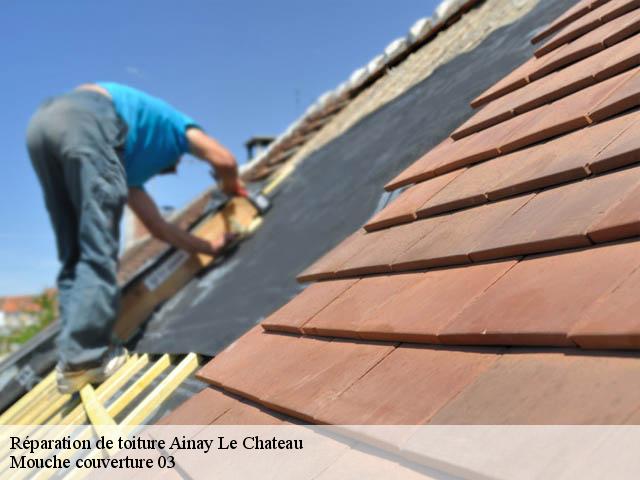Réparation de toiture  ainay-le-chateau-03360 Mouche couverture 03