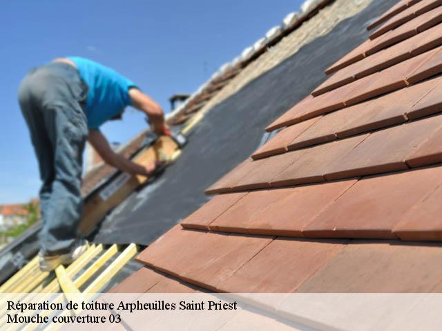 Réparation de toiture  arpheuilles-saint-priest-03420 Mouche couverture 03