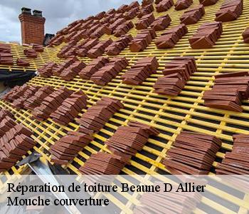 Réparation de toiture beaune-d-allier-03390 Mouche couverture