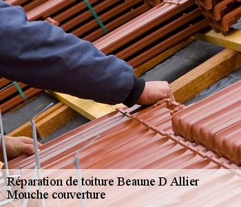 Réparation de toiture 03390