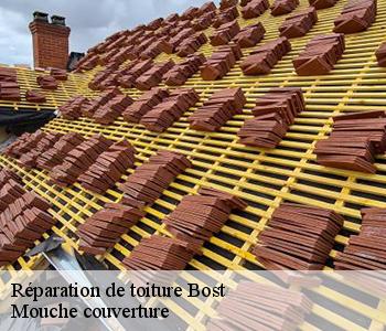 Réparation de toiture bost-03300 Mouche couverture
