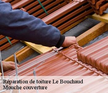 Réparation de toiture 03130