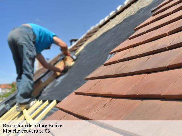 Réparation de toiture  braize-03360 Mouche couverture 03