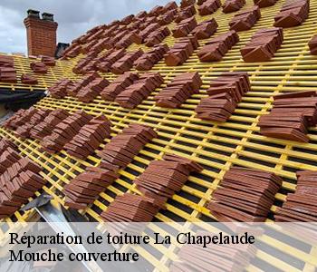 Réparation de toiture la-chapelaude-03380 Mouche couverture
