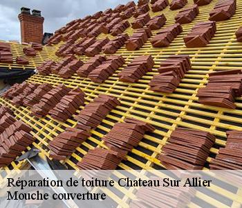 Réparation de toiture chateau-sur-allier-03320 Mouche couverture
