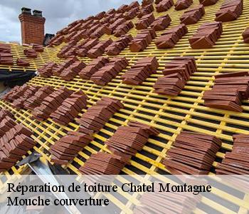 Réparation de toiture chatel-montagne-03250 Mouche couverture