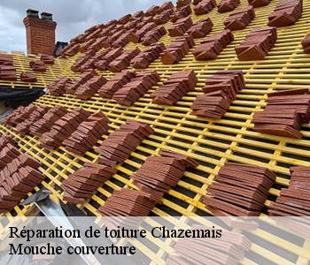 Réparation de toiture chazemais-03370 Mouche couverture