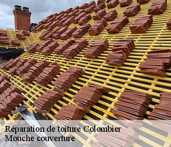 Réparation de toiture colombier-03600 Mouche couverture