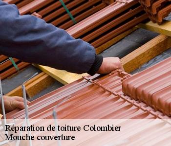 Réparation de toiture 03600