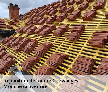 Réparation de toiture cressanges-03240 Mouche couverture
