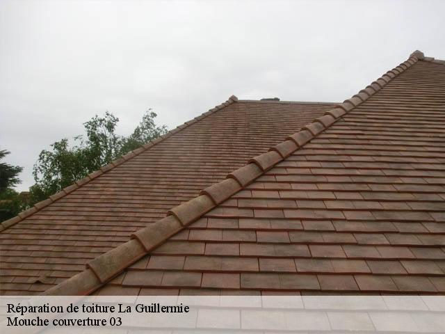Réparation de toiture 03250