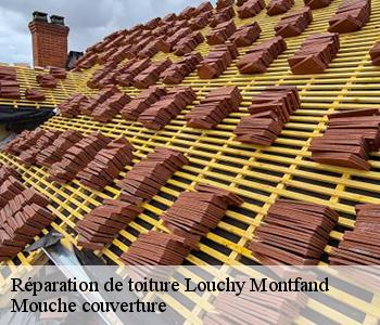 Réparation de toiture louchy-montfand-03500 Mouche couverture